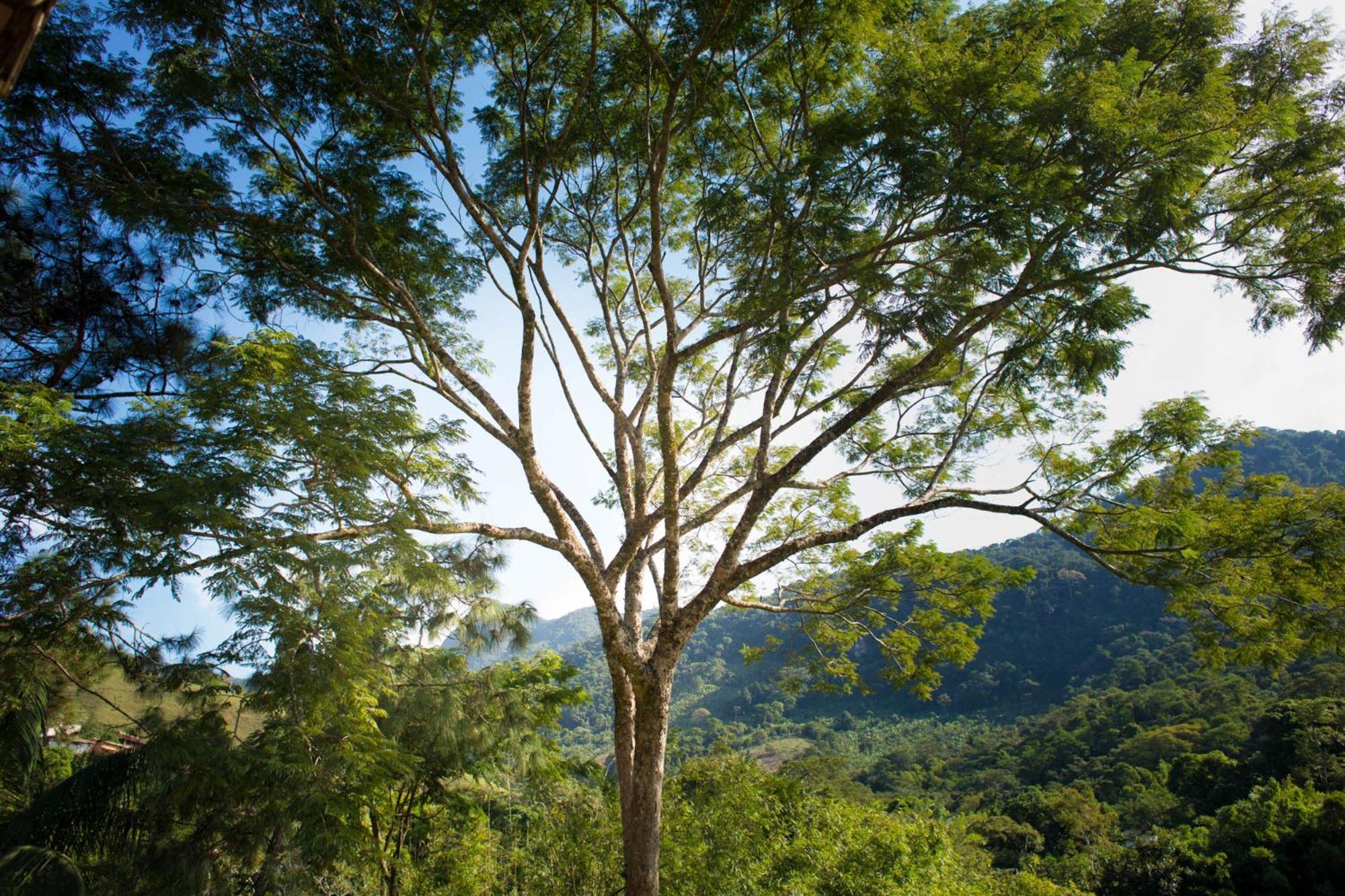 Pousada Cascata Casimiro de Abreu Rom bilde
